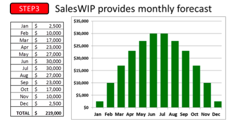 Monthly sales forecast bar graph and table